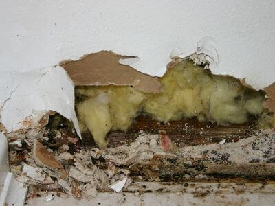 About Myrtle Beach Restoration Pros - myrtle beach water damage restoration | 24/7 emergency service experts in Myrtle Beach
